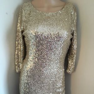 Party holiday  dress nwot